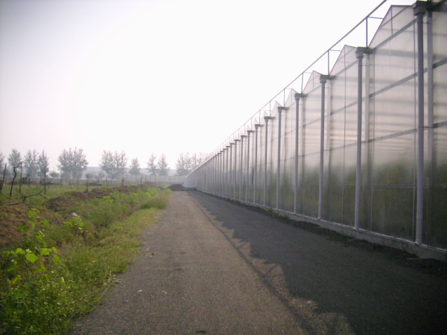 顺义区后沙峪镇出租种植基地